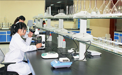 英科醫(yī)療再獲麥克森大獎，引領(lǐng)醫(yī)療器械互聯(lián)網(wǎng)信息服務(wù)新篇章