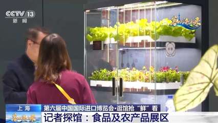 不再只是玉米和白菜 ? ? ? ?  記者在“四葉草”發(fā)現(xiàn)，進(jìn)博會 “養(yǎng)成”的農(nóng)業(yè)未來想象體綜合體驗(yàn) \u3010\u4eca\u5c4a\u6295\u505c\u7576\u201centailles =Bags +？} iThink？